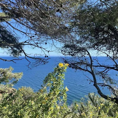 Mignon Calme Douillet Ascenseur Clim Etage Eleve Proche Parking Et Toutes Commodites Au Coeur Du Historique Apartment *