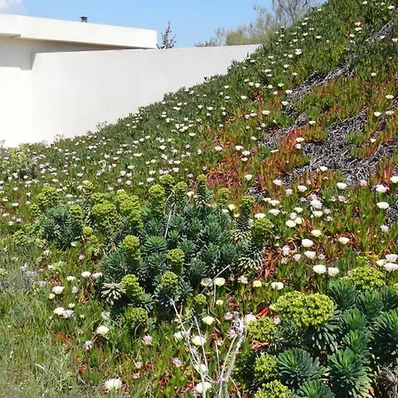 Mignon Calme Douillet Ascenseur Clim Etage Eleve Proche Parking Et Toutes Commodites Au Coeur Du Historique