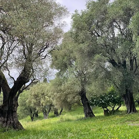 Mignon Calme Douillet Ascenseur Clim Etage Eleve Proche Parking Et Toutes Commodites Au Coeur Du Historique Apartment *